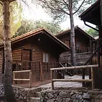 Tajorodillo
