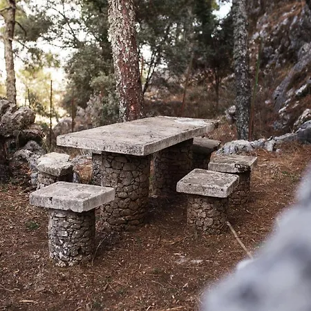 Tajorodillo مكان تخييم *