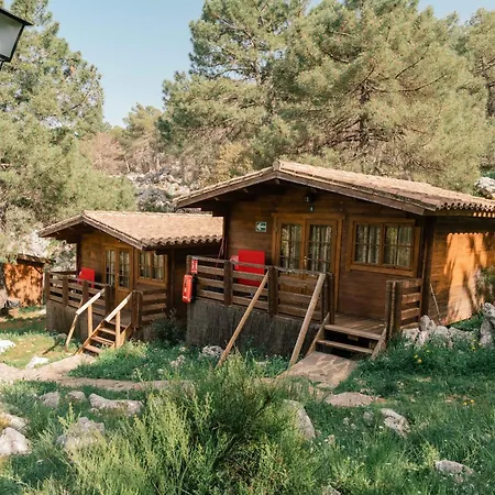 Tajorodillo Camping