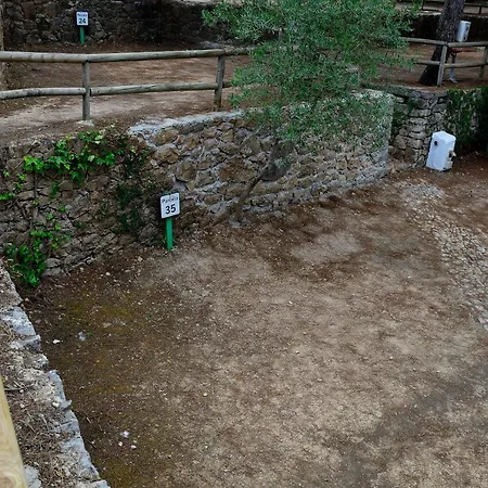 Tajorodillo Campsite *